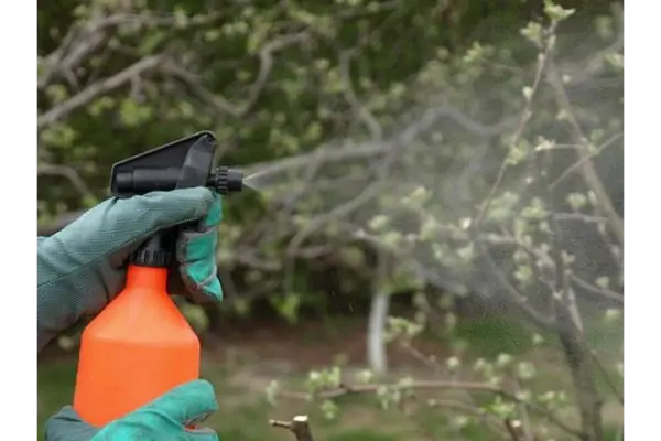 سوپر اویل چیست؟