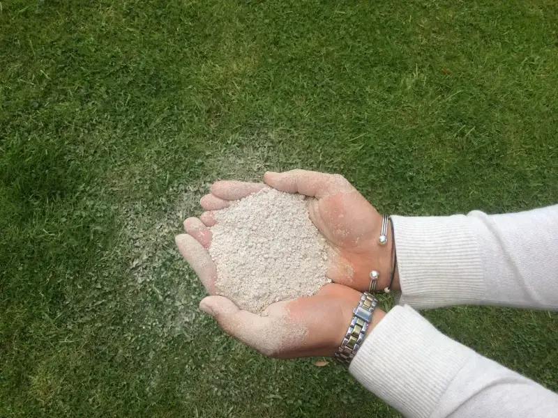 مقاله کاربرد گچ کشاورزی در باغات پسته