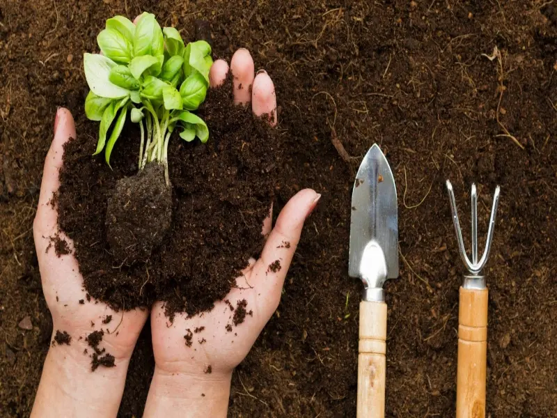 مقاله آشنایی با چالکود و مزیت های مهم استفاده از آن