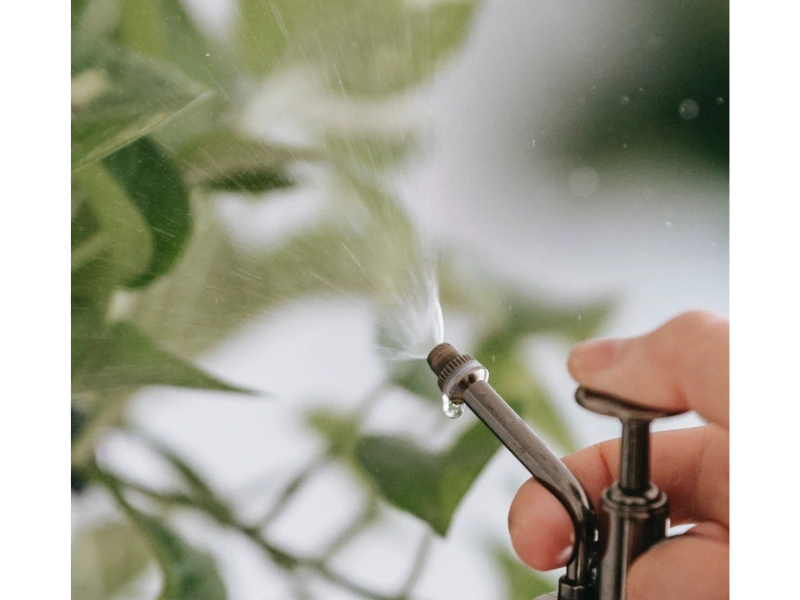 فواید مهم روش استفاده از تغزیه برگی