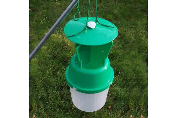 چگونه از تله فرمونی در باغات استفاده کنیم؟