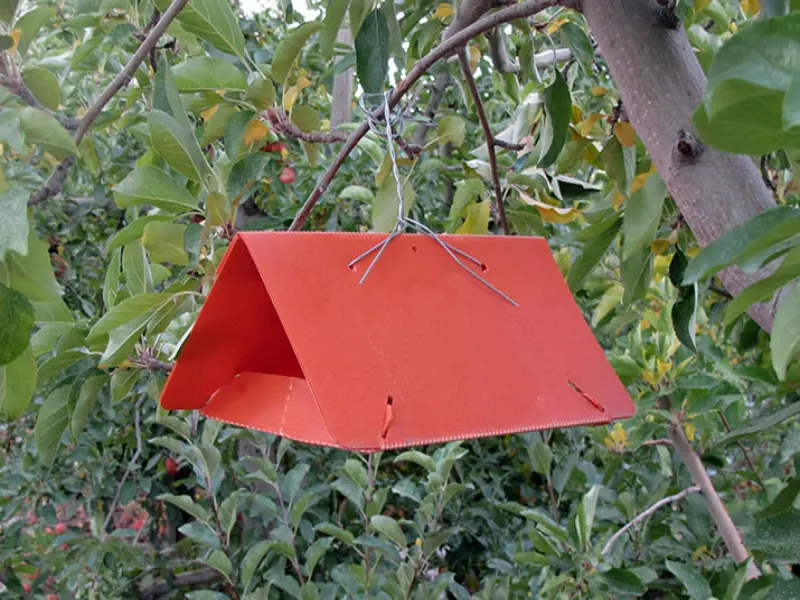 مقاله تله فرمونی چیست و چه کاربردهایی دارد؟