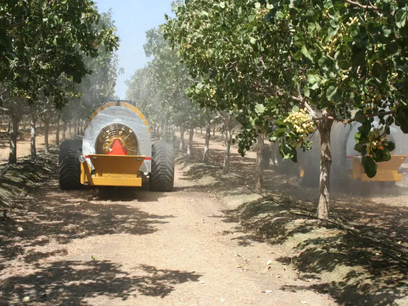 مقاله محلولپاشی پسته چیست؟