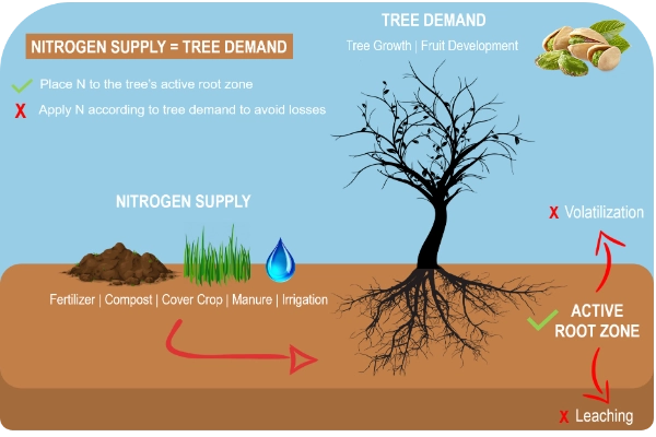 مقایسه کود حیوانی و شیمیایی