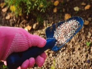 مقاله کود چیست؟