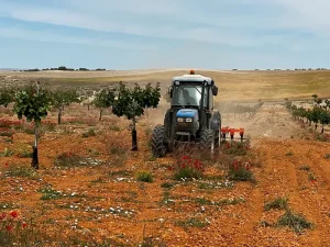 مقاله خاک ورزی چیست؟