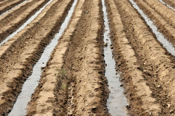 ضررهای آبشویی خاک