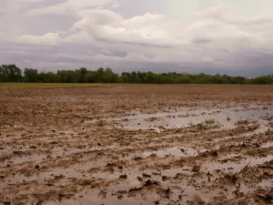 مقاله نکات مهم در آبشویی خاک