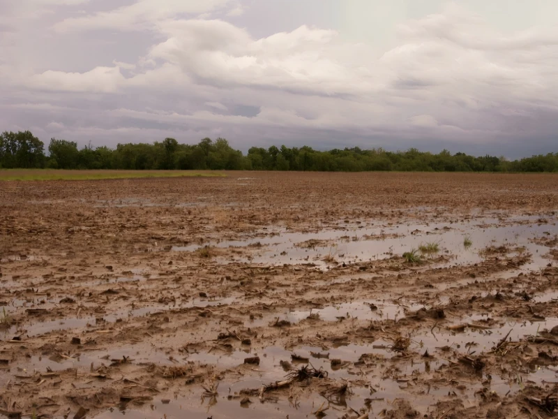 مقاله نکات مهم در آبشویی خاک