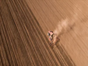 مقاله ماسه بادی چیست؟