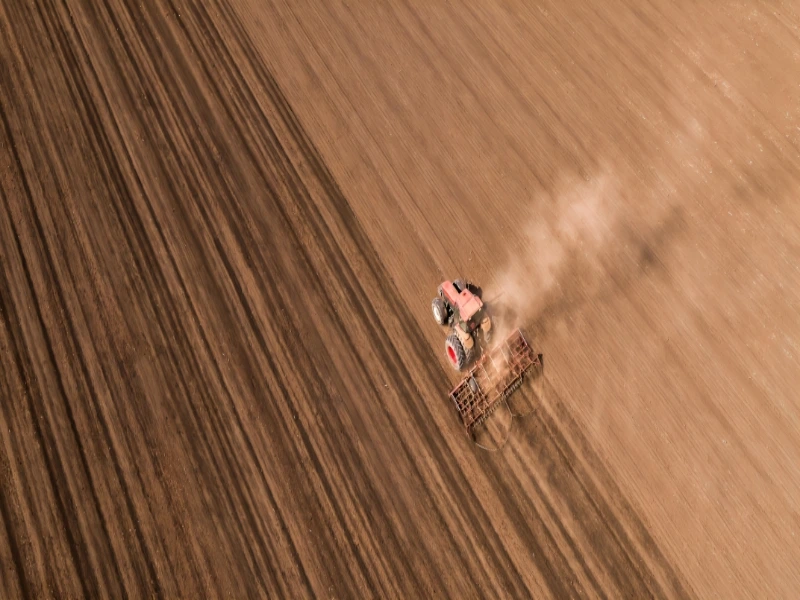 مقاله ماسه بادی چیست؟