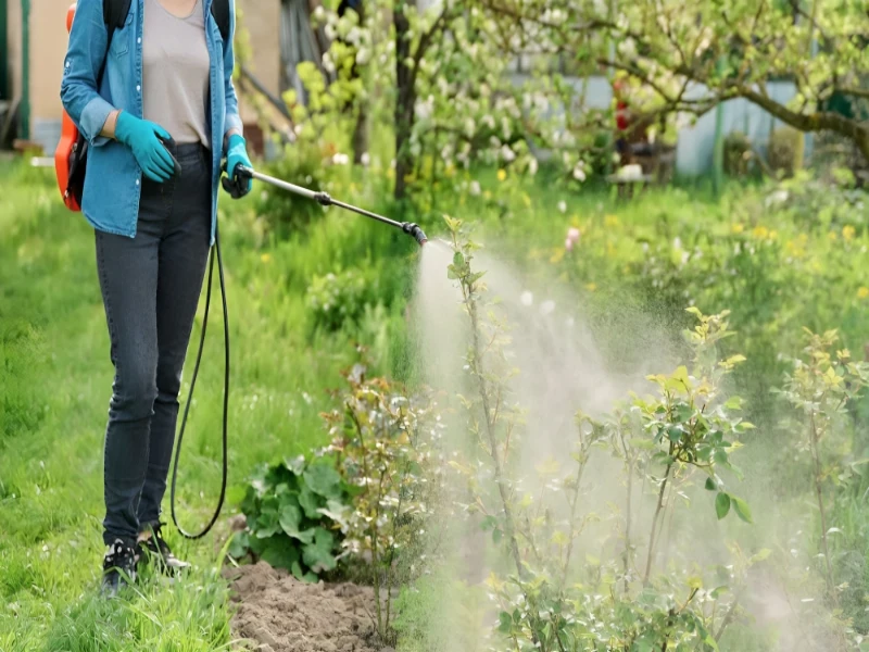 مقاله گوگرد مایع چیست؟