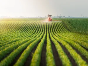 مقاله کود سولفات آمونیوم چیست؟