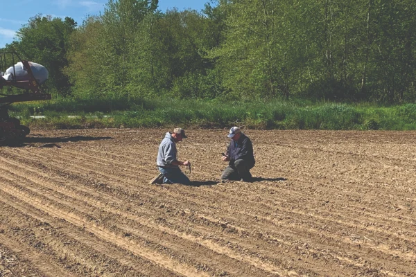 خواص کود اسید سولفوریک