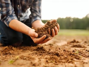 مقاله اصلاح خاکهای سنگین چیست؟