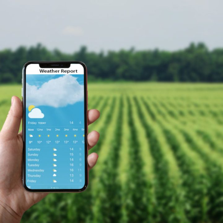 Agrometeorology photo